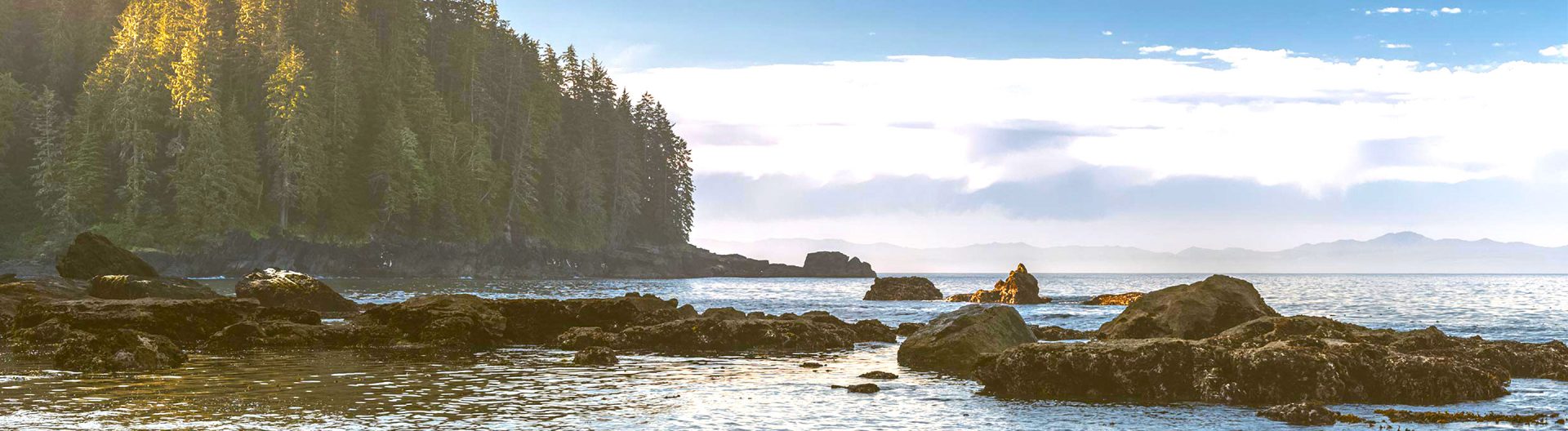 Real Estate Port Renfrew Community For Sale Now