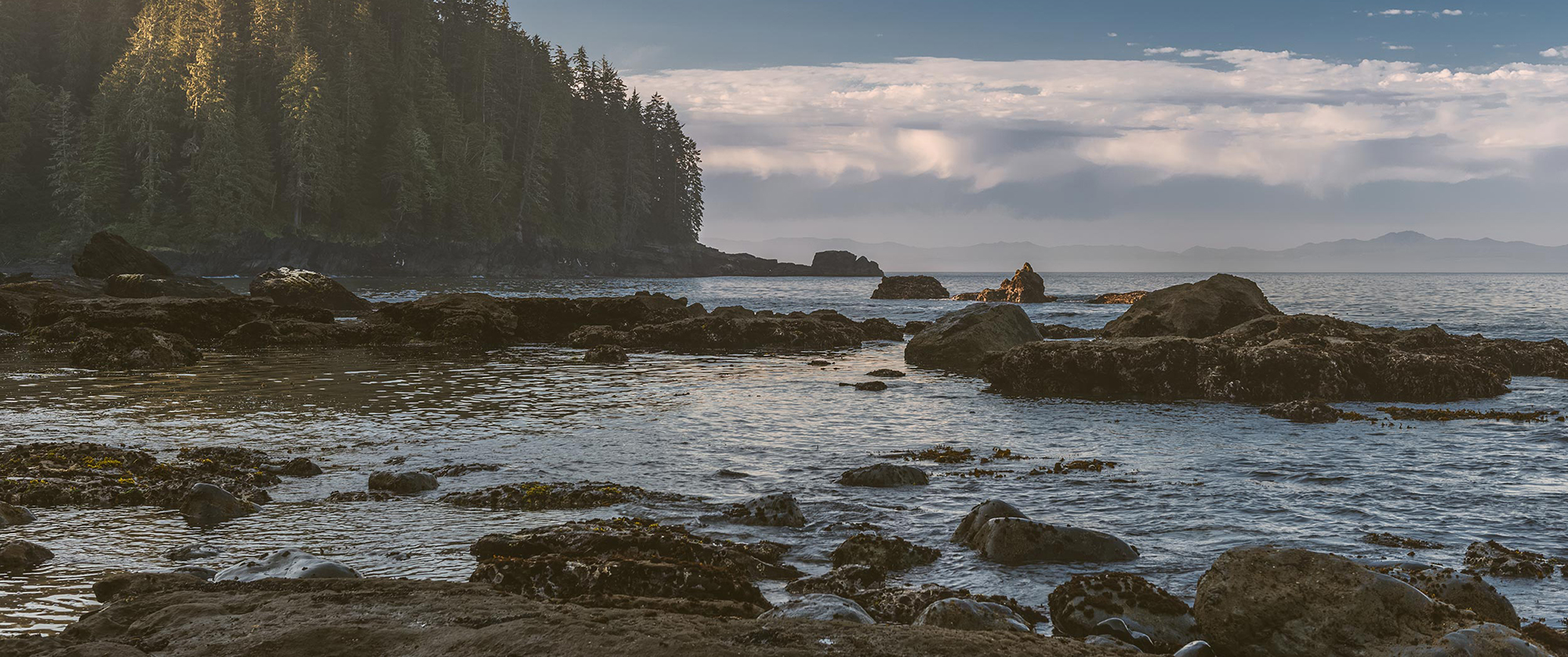 Things to do in Port Renfrew