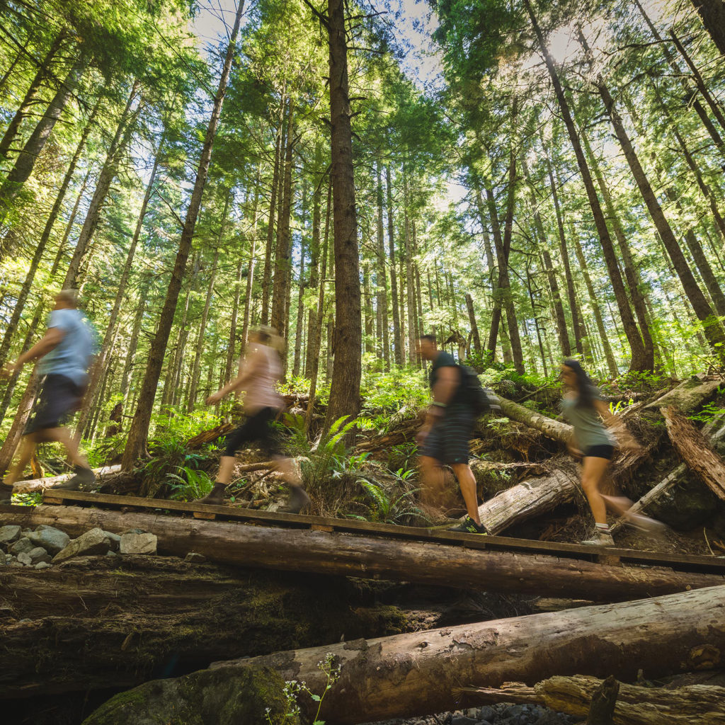 Things to do in Port Renfrew